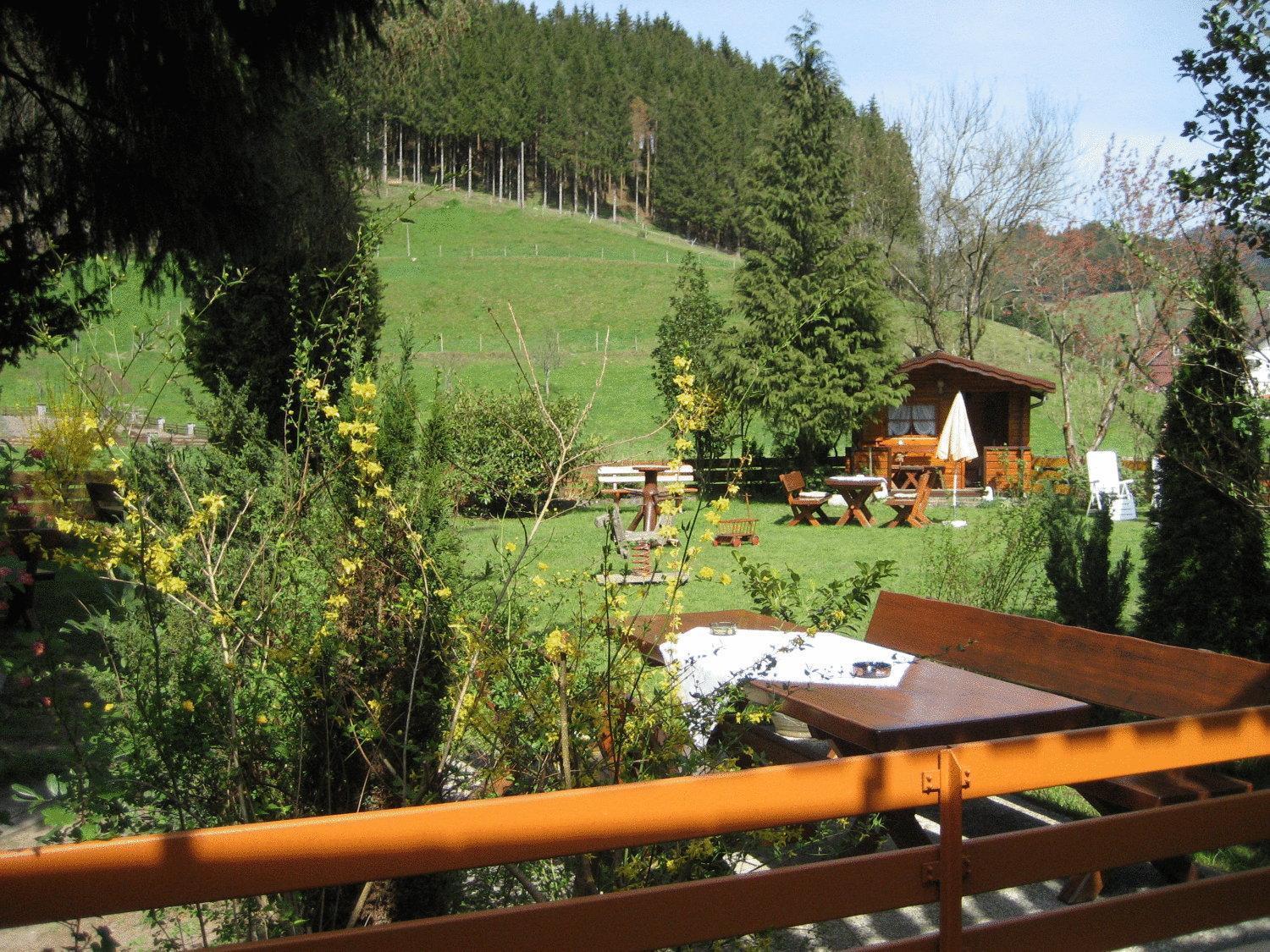Hotel Restaurant Albans Sonne Bad Rippoldsau-Schapbach Εξωτερικό φωτογραφία